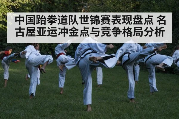 taekwondo kick action